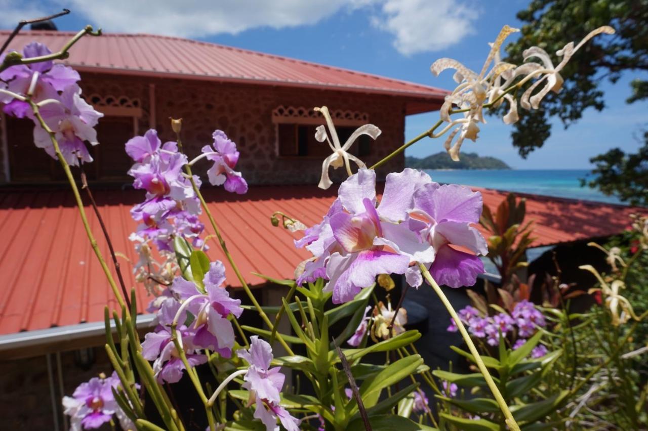 Villa La Saline Anse Volbert Village Exterior foto