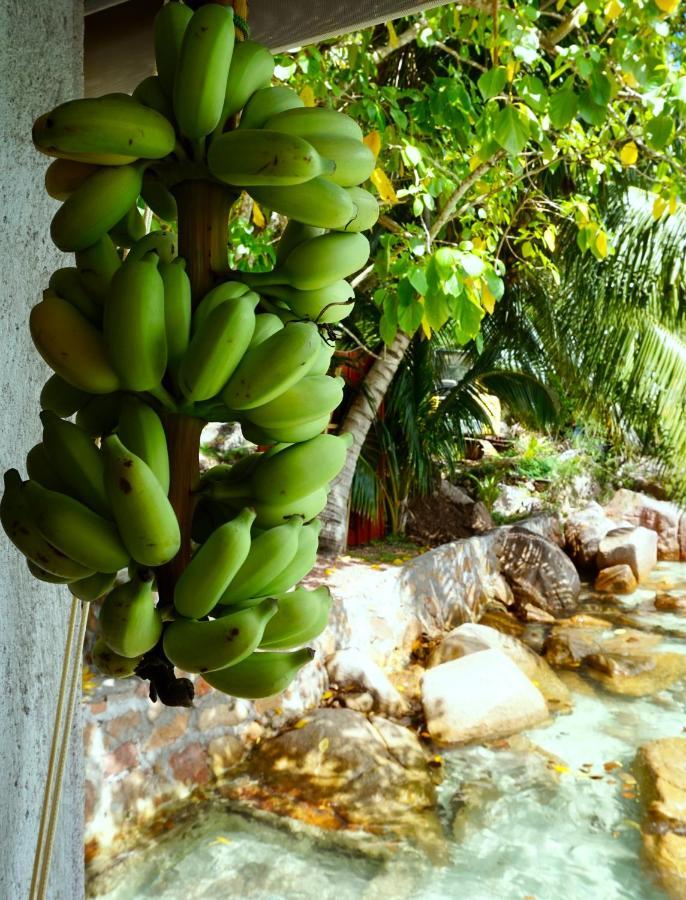 Villa La Saline Anse Volbert Village Exterior foto